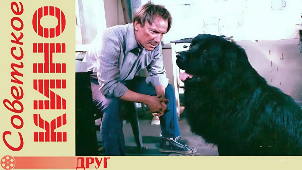 AI Реставрация - Друг (трагикомедия, реж. Леонид Квинихидзе, 1987 год) AIRemastered 1080p
