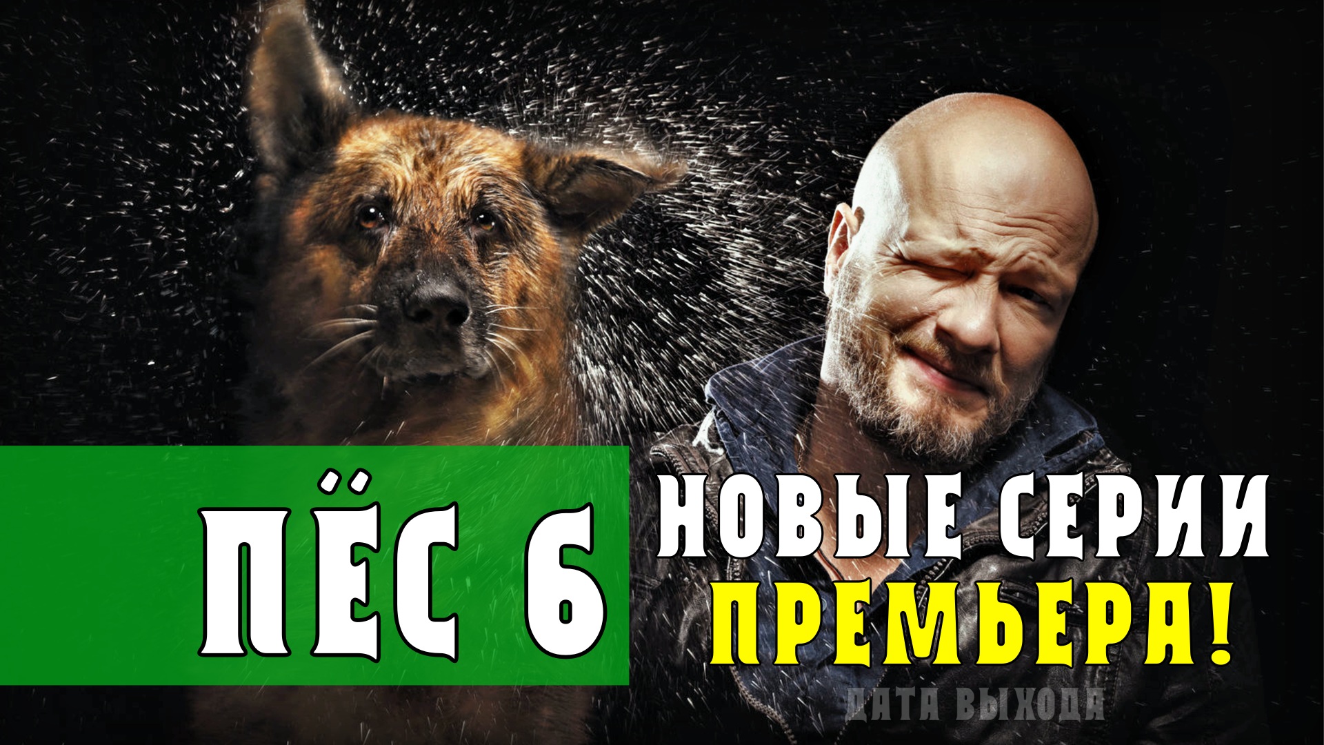 Пес 6 сезон 1-20 серии. Детектив НТВ. Дата выхода - сюжет