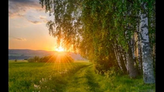 Звуки природы / пение птиц / звуки леса / для сна и отдыха / медитация / NATURE SOUNDS / 10 ЧАСОВ