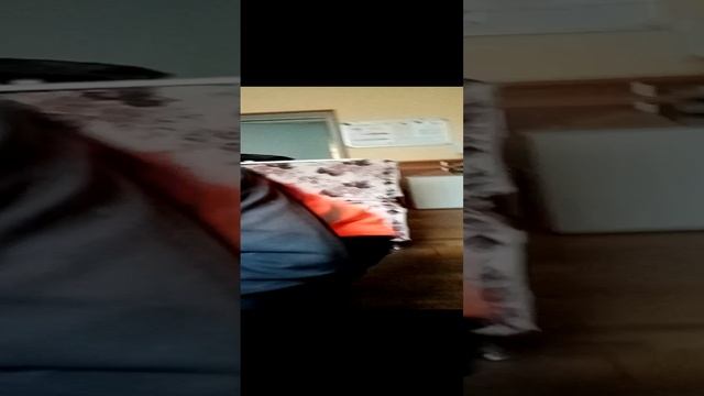 Спорт