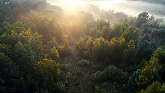 Прекрасная расслабляющая музыка • спокойная фортепианная и гитарная музыка | Sunny Mornings