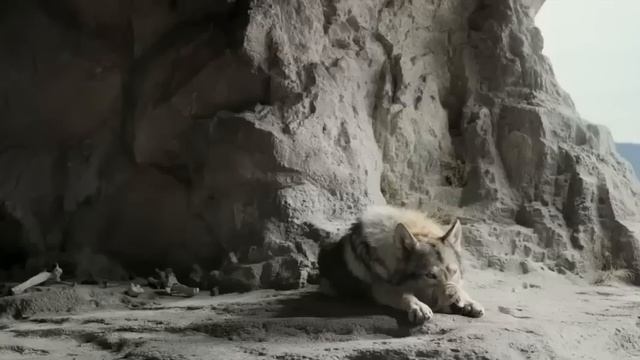 Фильм АЛЬФА 2018 полный фильм (основан на реальных событиях)