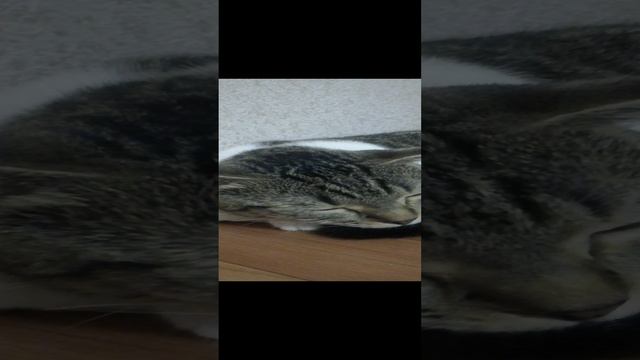Новости и СМИ