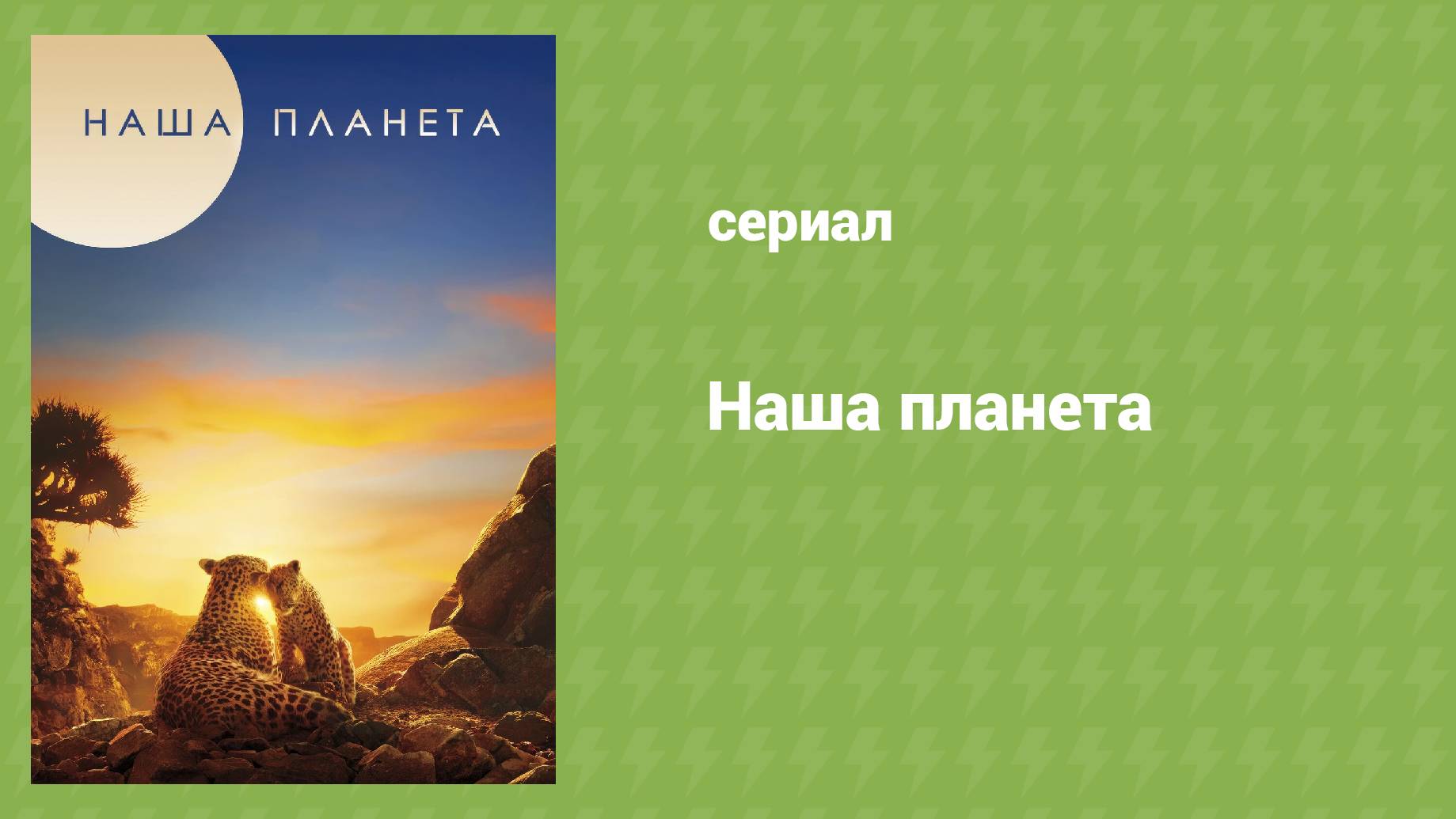 Наша планета 1 сезон 4 серия «Прибрежные моря» (документальный сериал, 2019)
