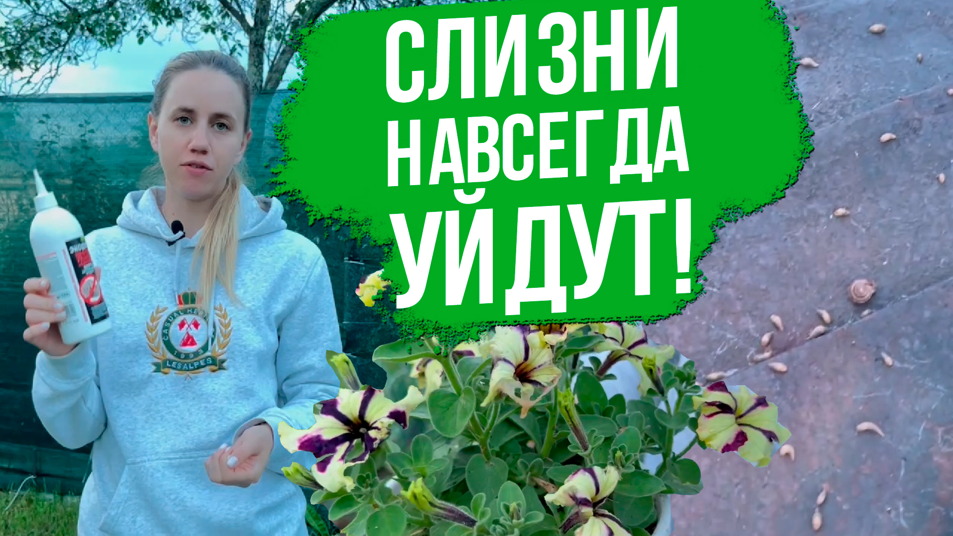 Как избавиться от слизней на участке. 5 лучших способов борьбы со слизнями.