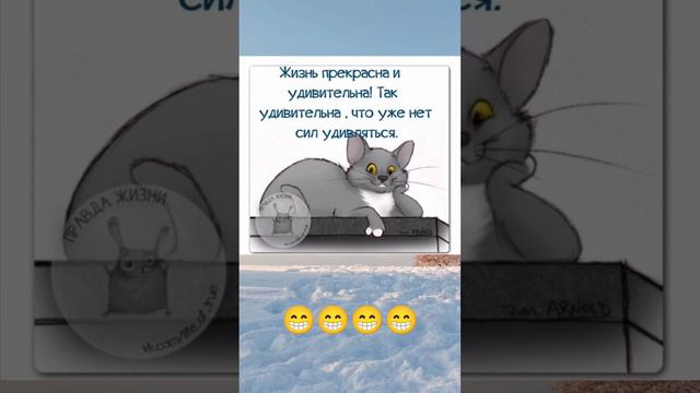Развлечения