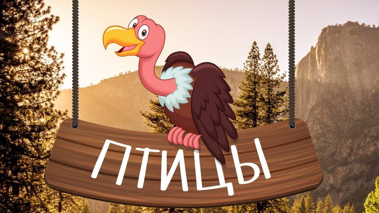 ПТИЦЫ - развивающие мультики для малышей. Учим животных вместе! На русском.