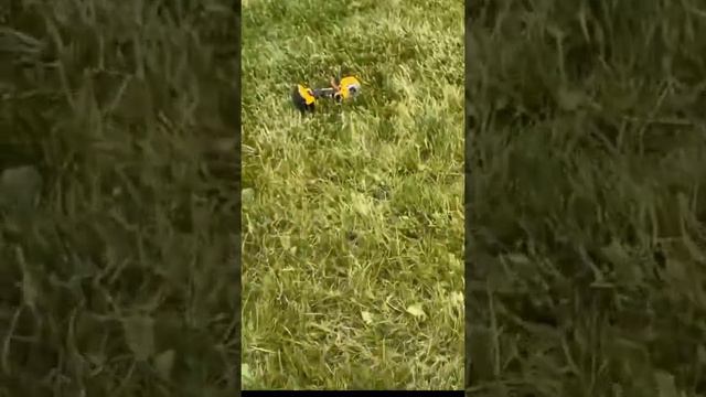 СПОРТ