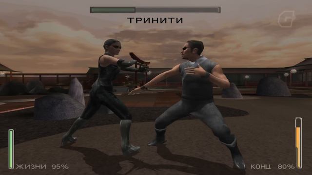 ЗАБЫТЫЕ ЛЕГЕНДЫ ВИДЕОИГР (IGM)