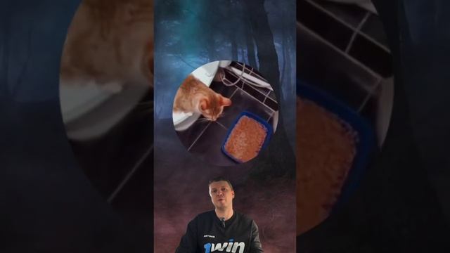 юмор