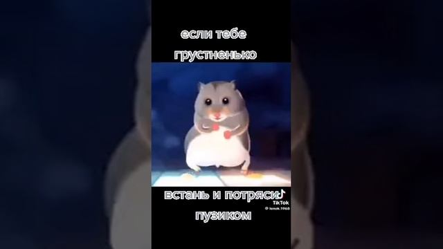 Юмор