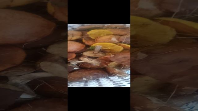Хобби
