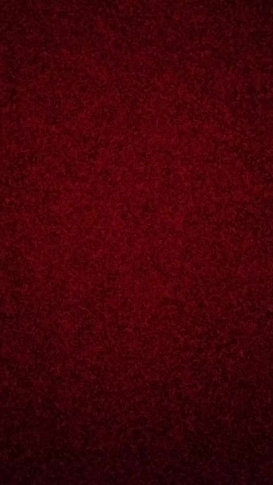 показ мод