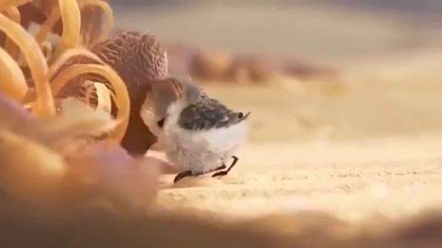 Жизненная короткометражка от Pixar