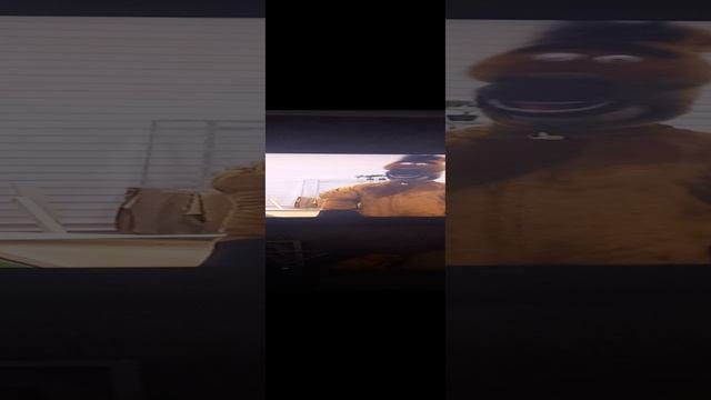 хобби