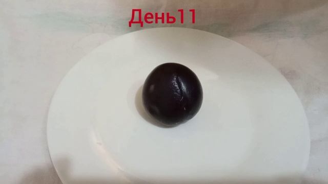 Гниение сливы. Эксперимент!!!