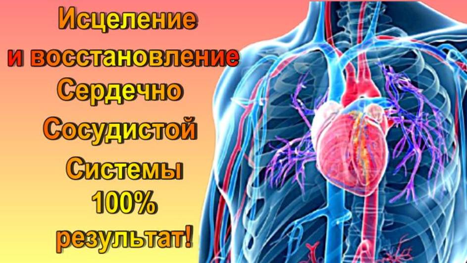 Матрица П. Гаряева Исцеление и Коррекция Сердечно-Сосудистой системы/ Программа №2-2 /