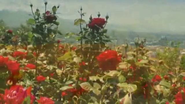 ОДНОЙ ТОБОЮ Я ЖИВУ.. - сл и муз. Б. Шварцман исп М. Винокуров (авт. рол. Игорь Шмелёв)