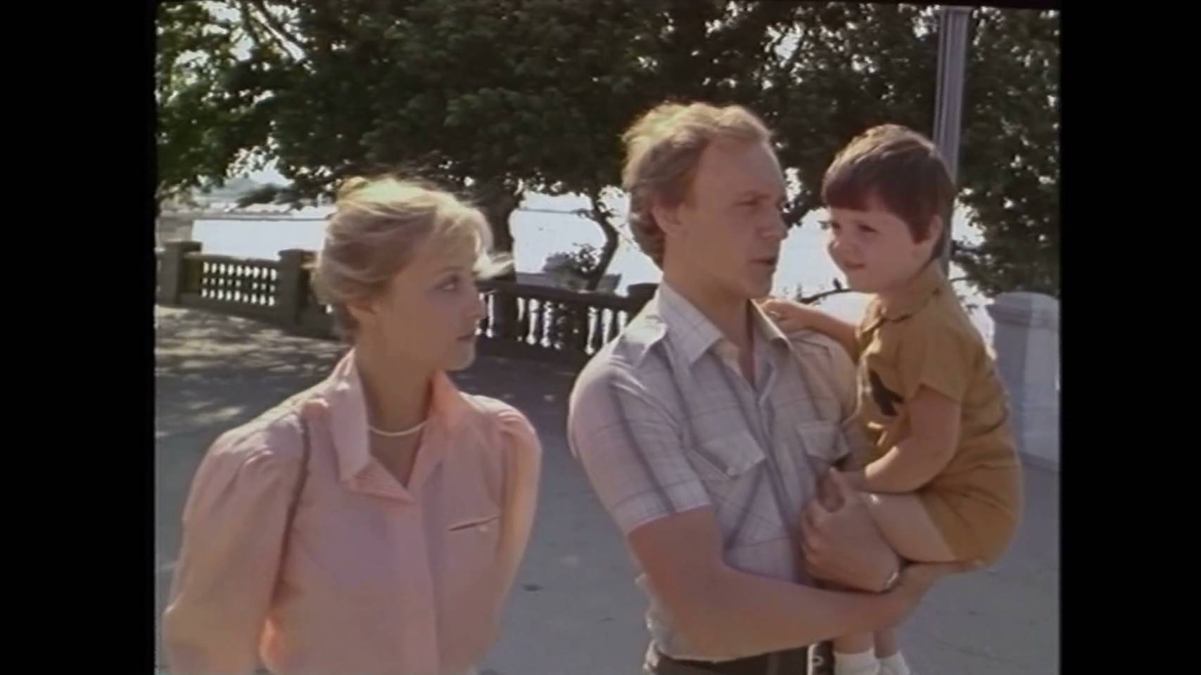 Женатый холостяк (1982)