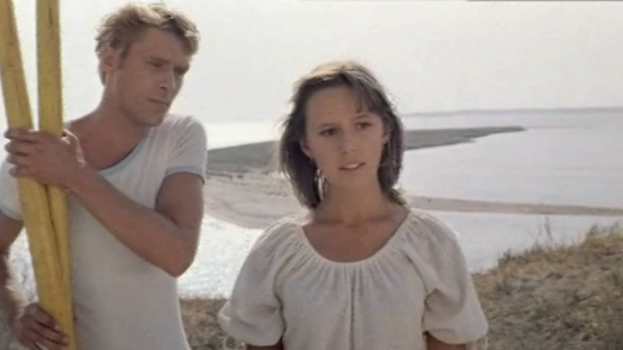День свадьбы придётся уточнить (1979)