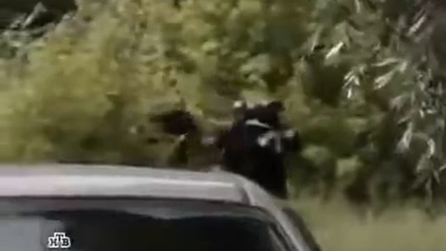 ПО СЛEДУ ЗВЕРЯ КРИМИНАЛЬНОЕ КИНО! СУПЕР ФИЛЬМ ОНЛАЙН! Криминальный боевик, Русское кино