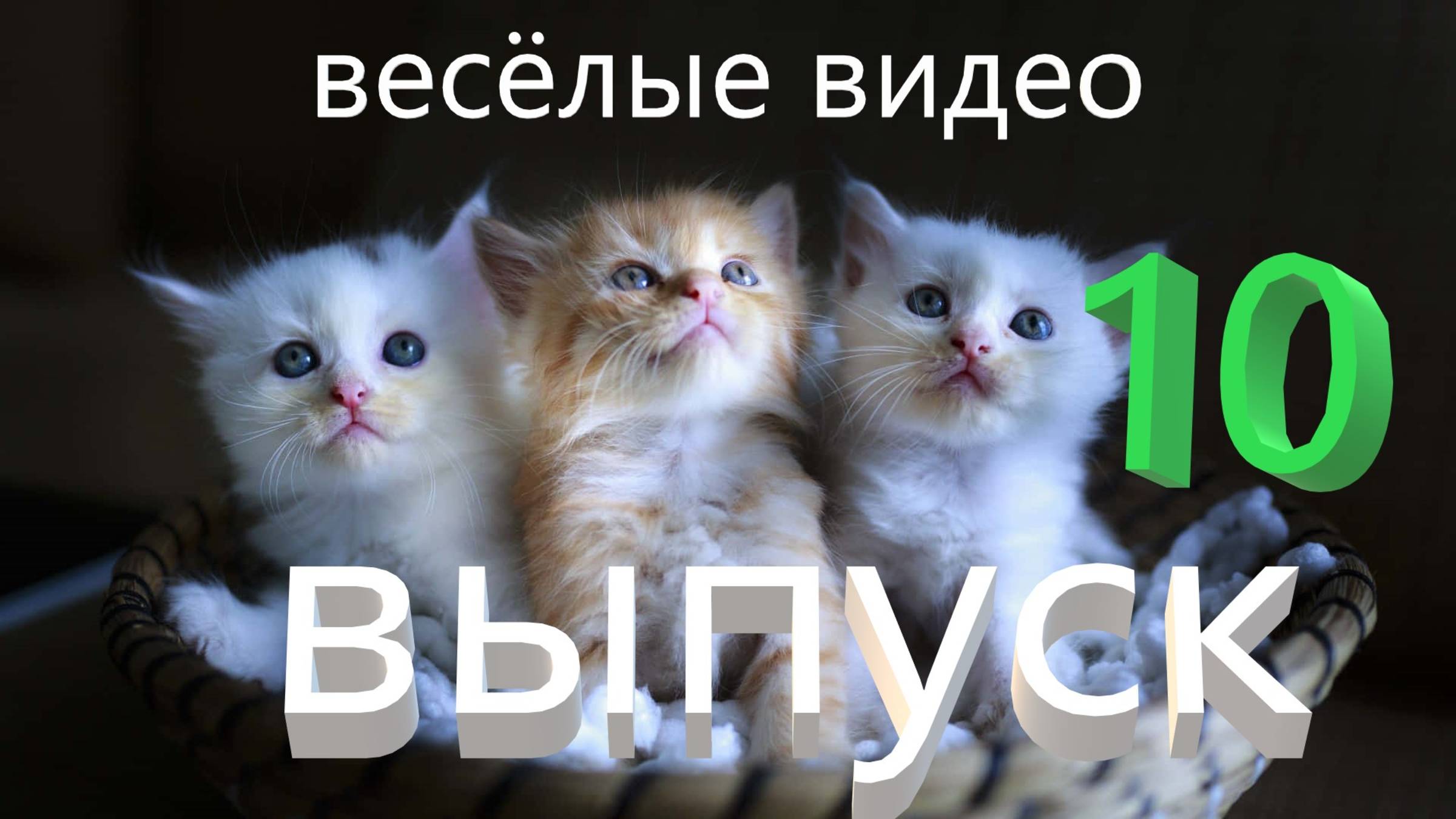 Удивительные животные выпуск десятый 10