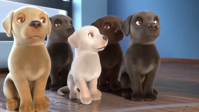 Короткометражный мультфильм Pip / Короткометражка / Про собаку - поводырь