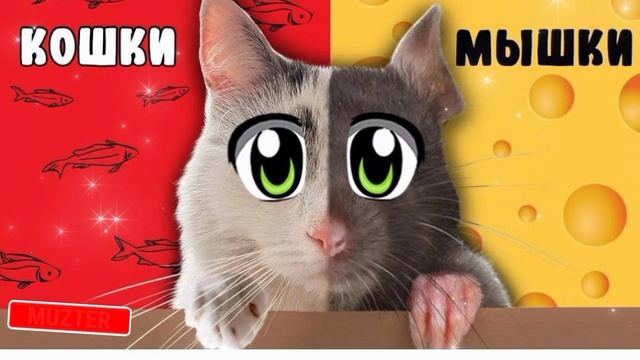 поёт кошка мурка песня Кошки-мышки