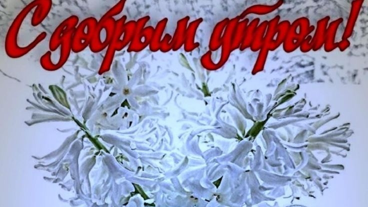 Пожелания доброго утра в феврале. Музыкальная открытка.