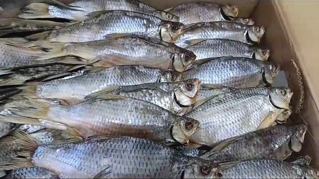 Плотва вяленая Крупная с икрой
