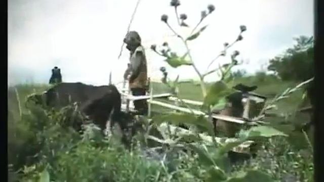 Художественный фильм: "Горец" 1992
