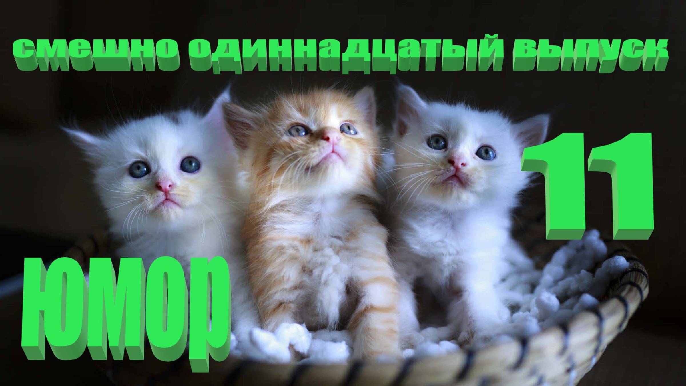 Удивительные животные выпуск одиннадцатый 11