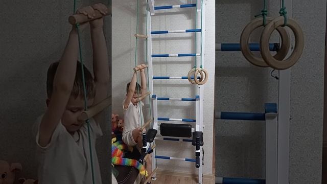 Спорт