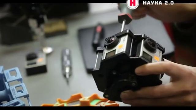 Наука 2.0 Птицы