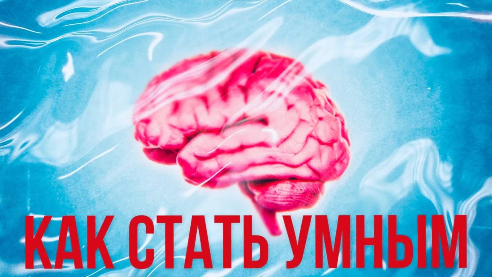 Кого считать умным