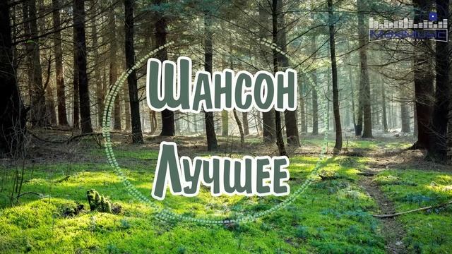 ШАНСОН ЛУЧШЕЕ ПЕСНИ 2025 Шансон 2025 Новые Песни Года Красивый Шансон 2025 Слушать