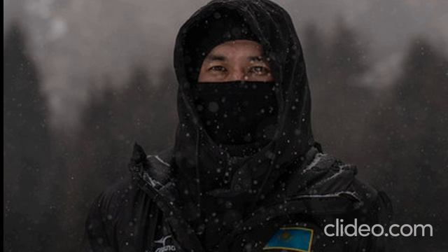 Политика