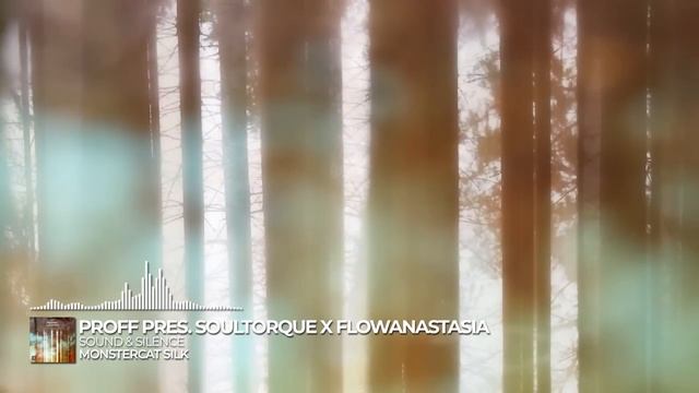 PROFF pres. Soultorque x flowanastasia - Sound & Silence [Monstercat Release]