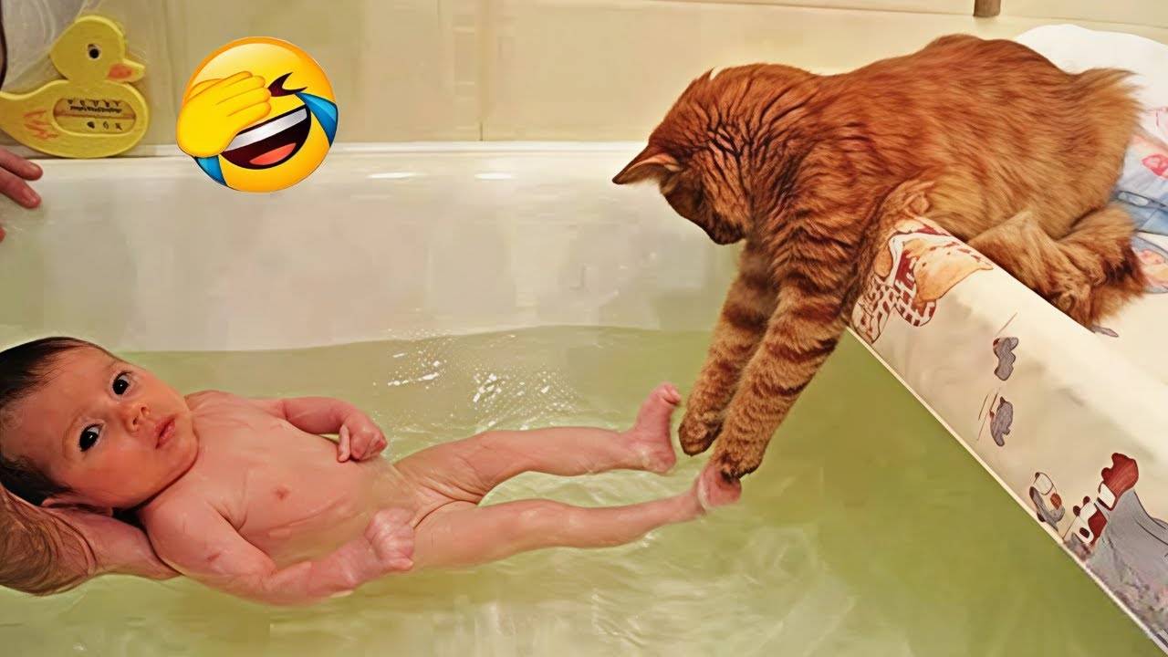 Приколы с животными🤗 Смешные видео про животных 🤗СМЕШНОЕ ВИДЕО😍 Наши любимые смешные животные