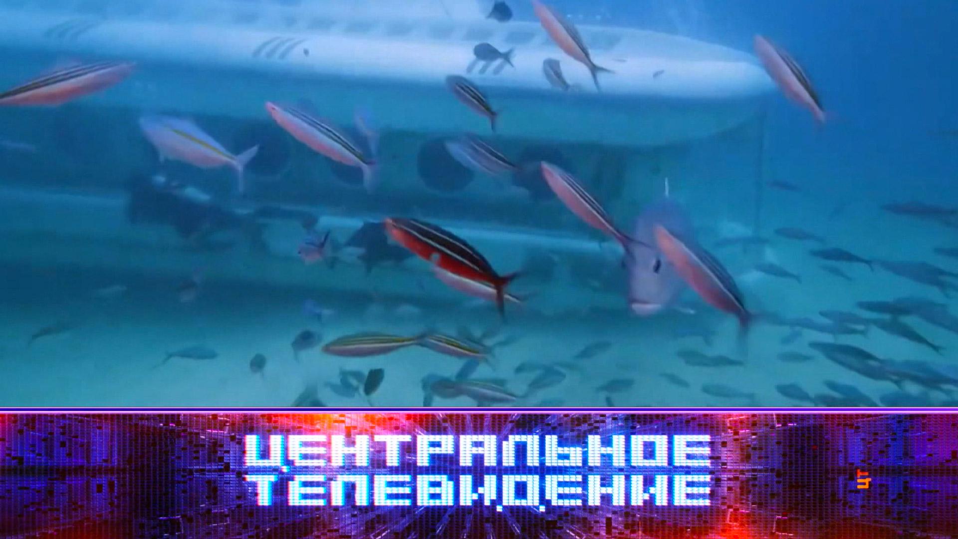 «Центральное телевидение». Выпуск от 29 марта 2025 года