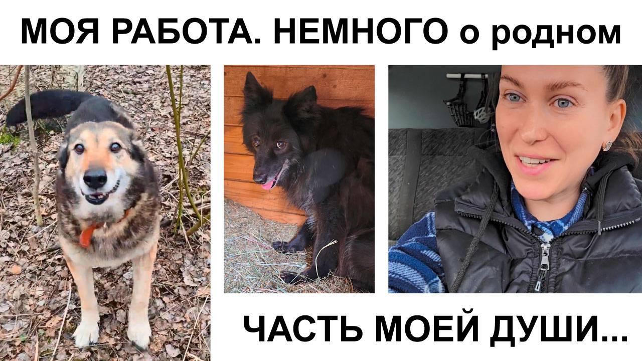 Моя работа. То, что смогла снять :) Небольшая часть моей души!