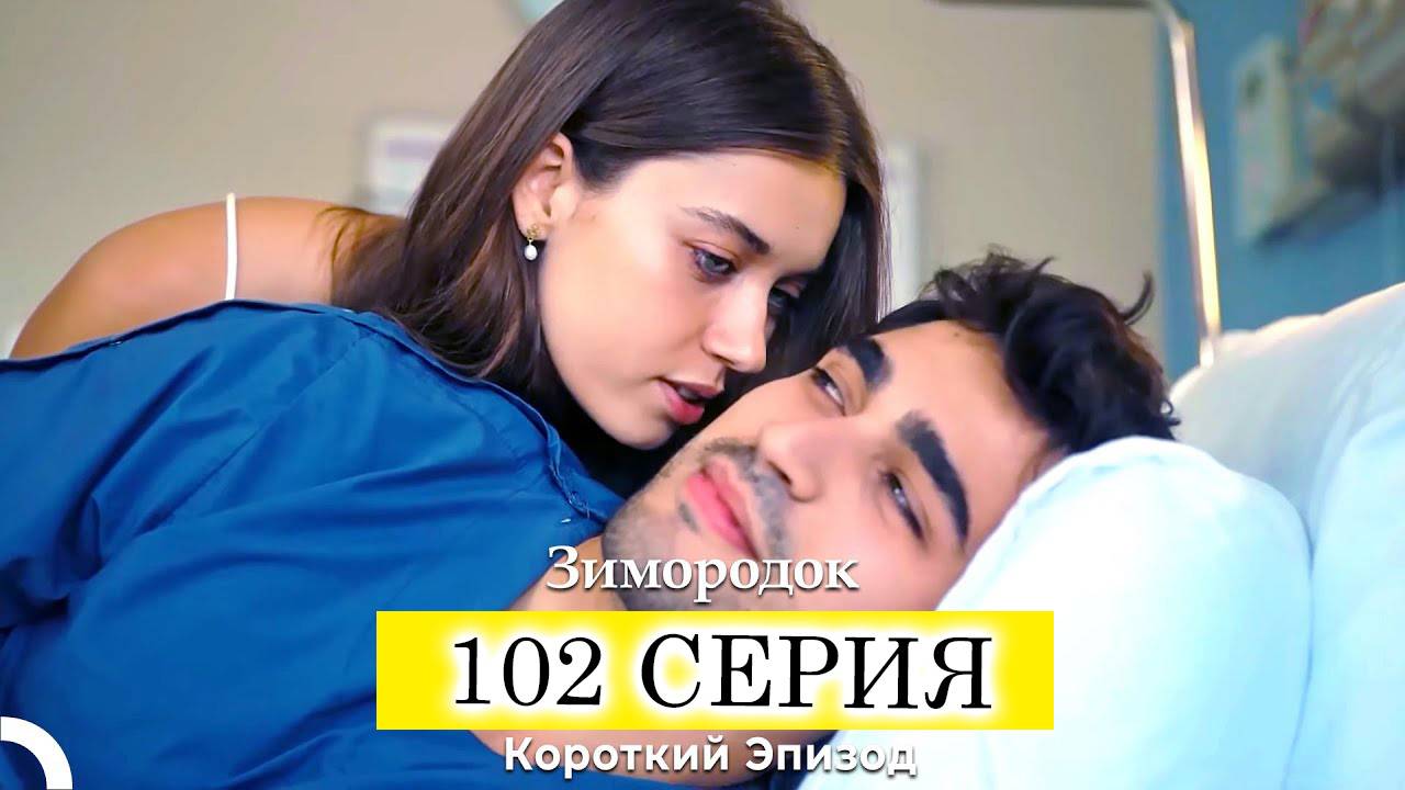 Зимородок 102 серия русская озвучка