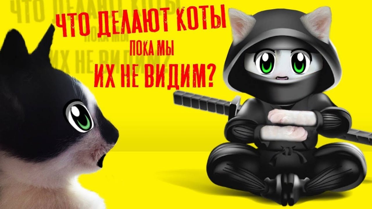 24 ЧАСА с КОТАМИ ЧЕЛЛЕНДЖ! Что делают МУРКА и БАФФИ в 3 ЧАСА НОЧИ | А ну-ка давай-ка