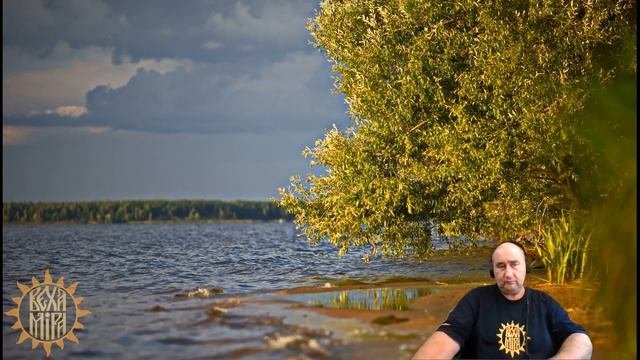 Про ментальные поля