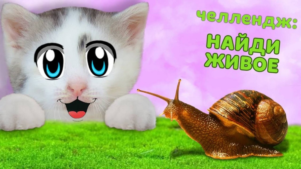 24 ЧАСА в ШКОЛЕ КОТОВ! ЧЕЛЛЕНДЖ КТО БОЛЬШЕ НАЙДЕТ КОТ МАЛЫШ VS КОШКА МУРКА | А ну-ка давай-ка