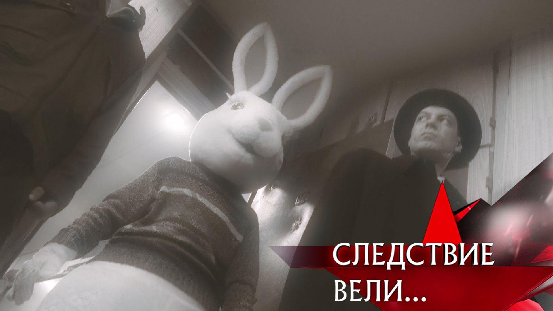 «Миллионы для кролика» | Фильм из цикла «Следствие вели...» с Леонидом Каневским