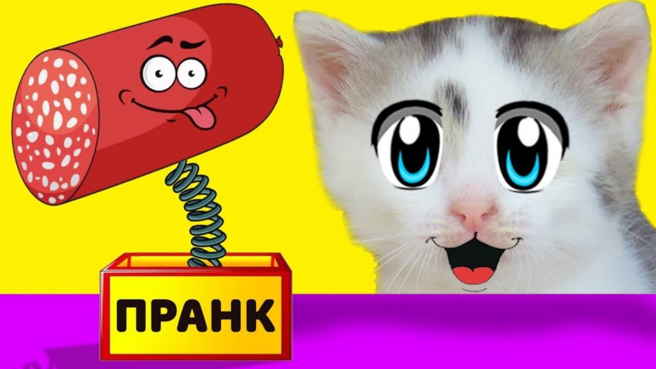 ЛЕТНИЕ ПРАНКИ НАД КОТАМИ! НОВЫЕ ПРИКОЛЫ для пары КОТ и КОШЕЧКА! 3 смешных пранка | А ну-ка давай-ка