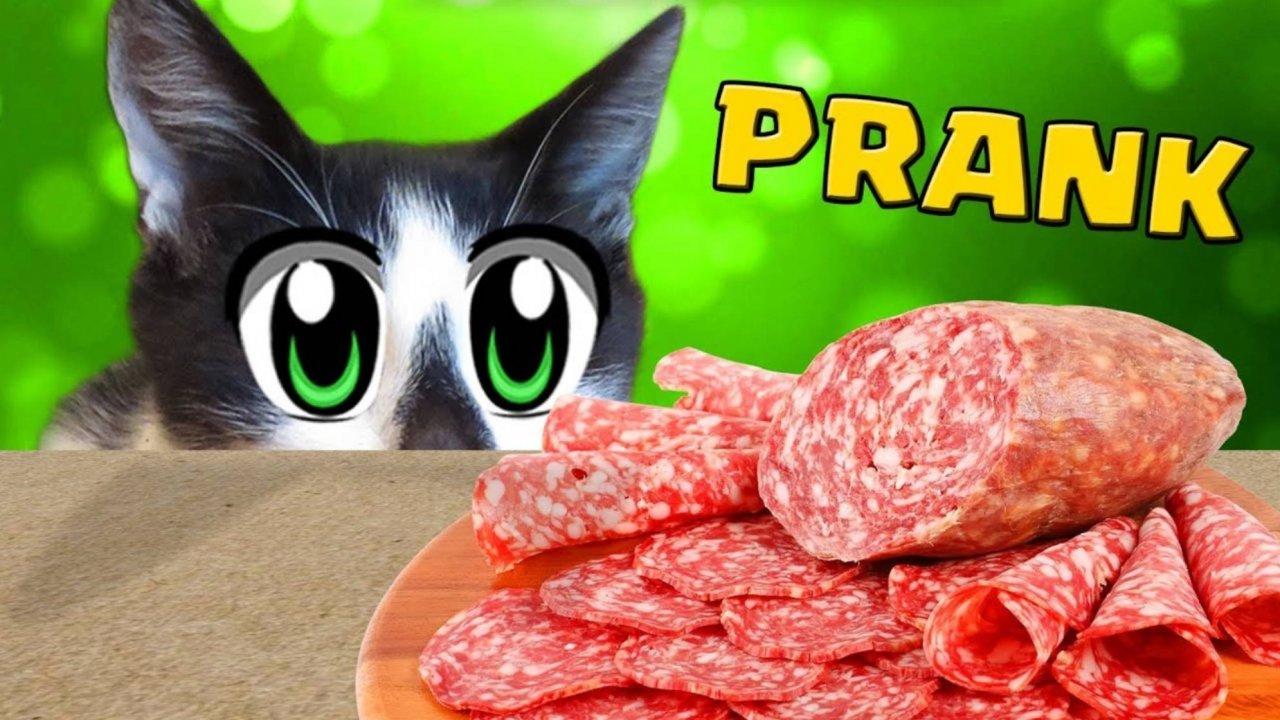 РОЗЫГРЫШ НАД КОТАМИ! СМЕШНОЙ КОТ МАЛЫШ И КОШЕЧКА МУРКА ИЩУТ КОЛБАСУ! А ну-ка давай-ка