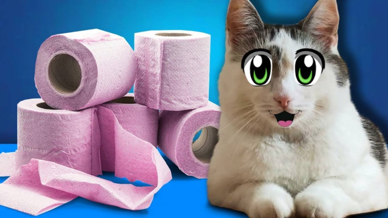 КОТЫ ПРОТИВ СТЕНЫ из БУМАГИ ЧЕЛЛЕНДЖ ! Кто победит получит приз? А ну-ка давай-ка