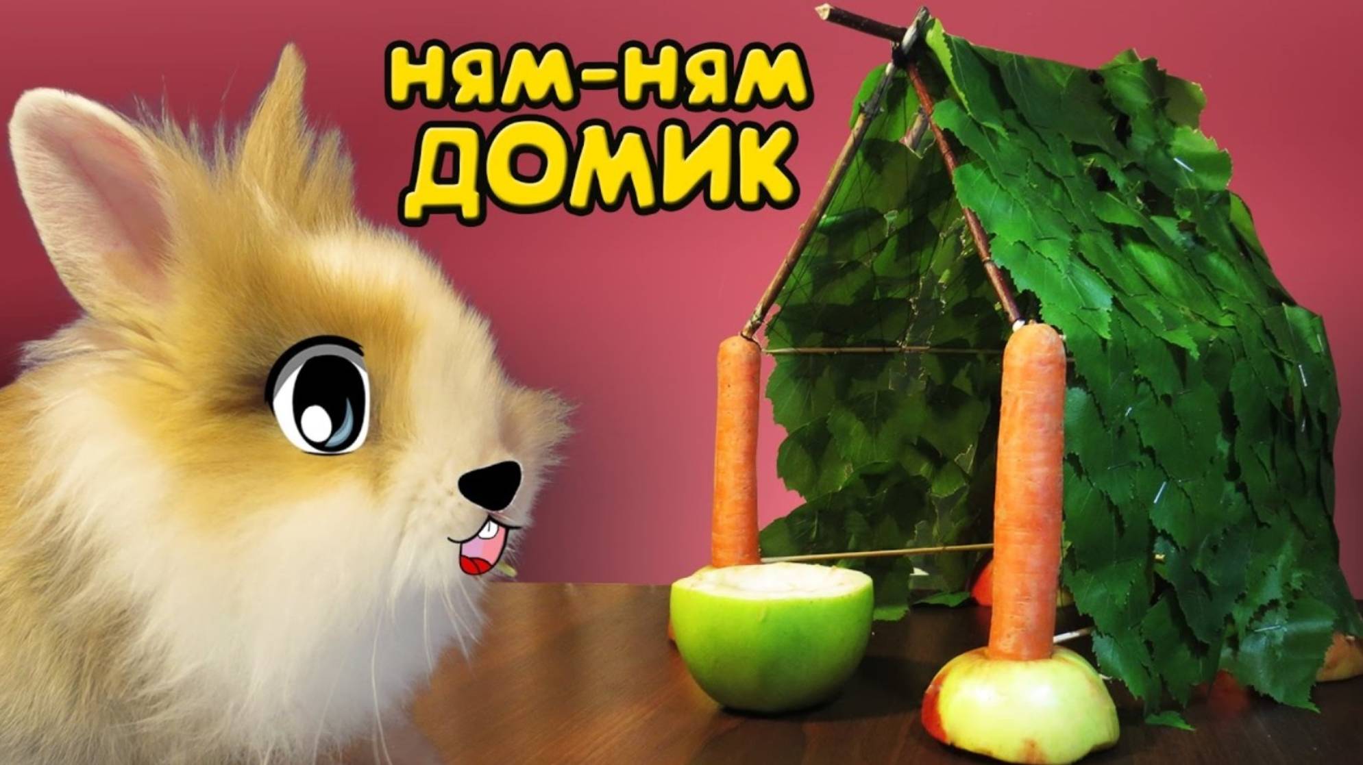 КРОЛИК БАФФИ и ВКУСНЫЙ ДОМ! ДЕЛАЕМ ДОМИК СВОИМИ РУКАМИ DIY ! МИЛАШКА БАФФИ | А ну-ка давай-ка